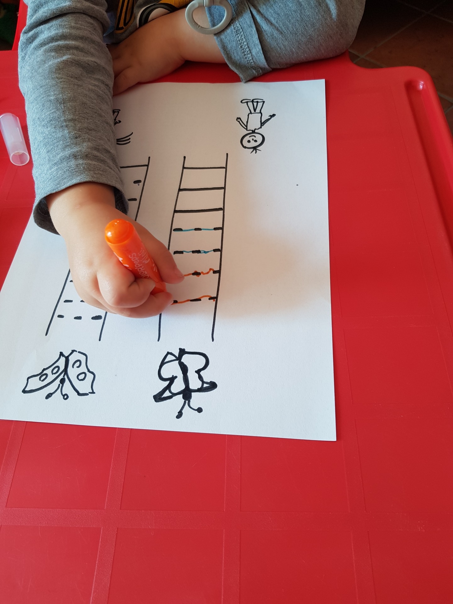 Activité Lignes 2