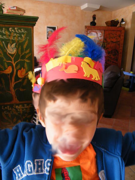 Couronnedeplumes2