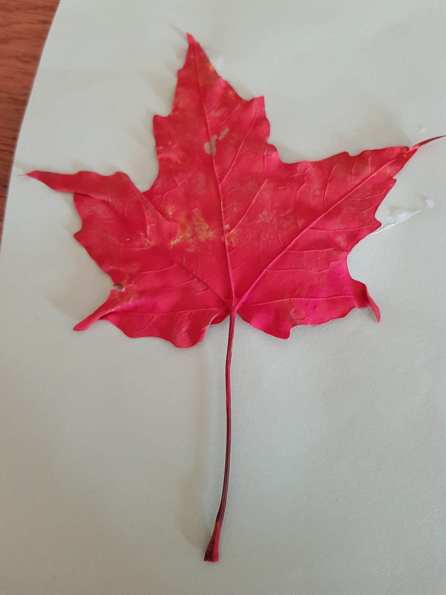 Feuille d'Erable Peinte en Rouge