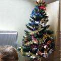 Monbeausapin