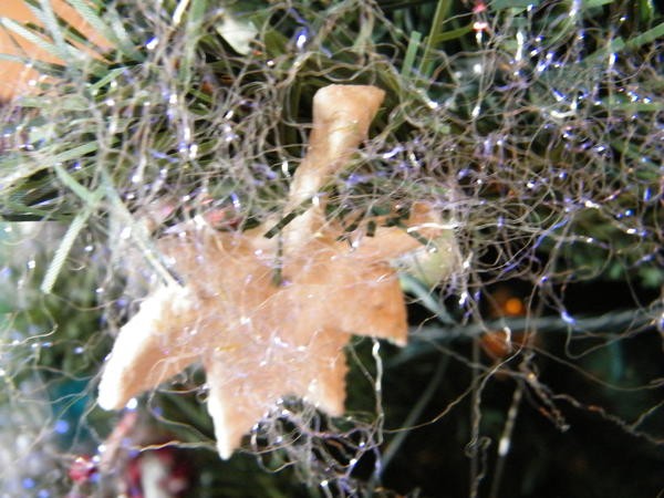 Pateaselfeuille1