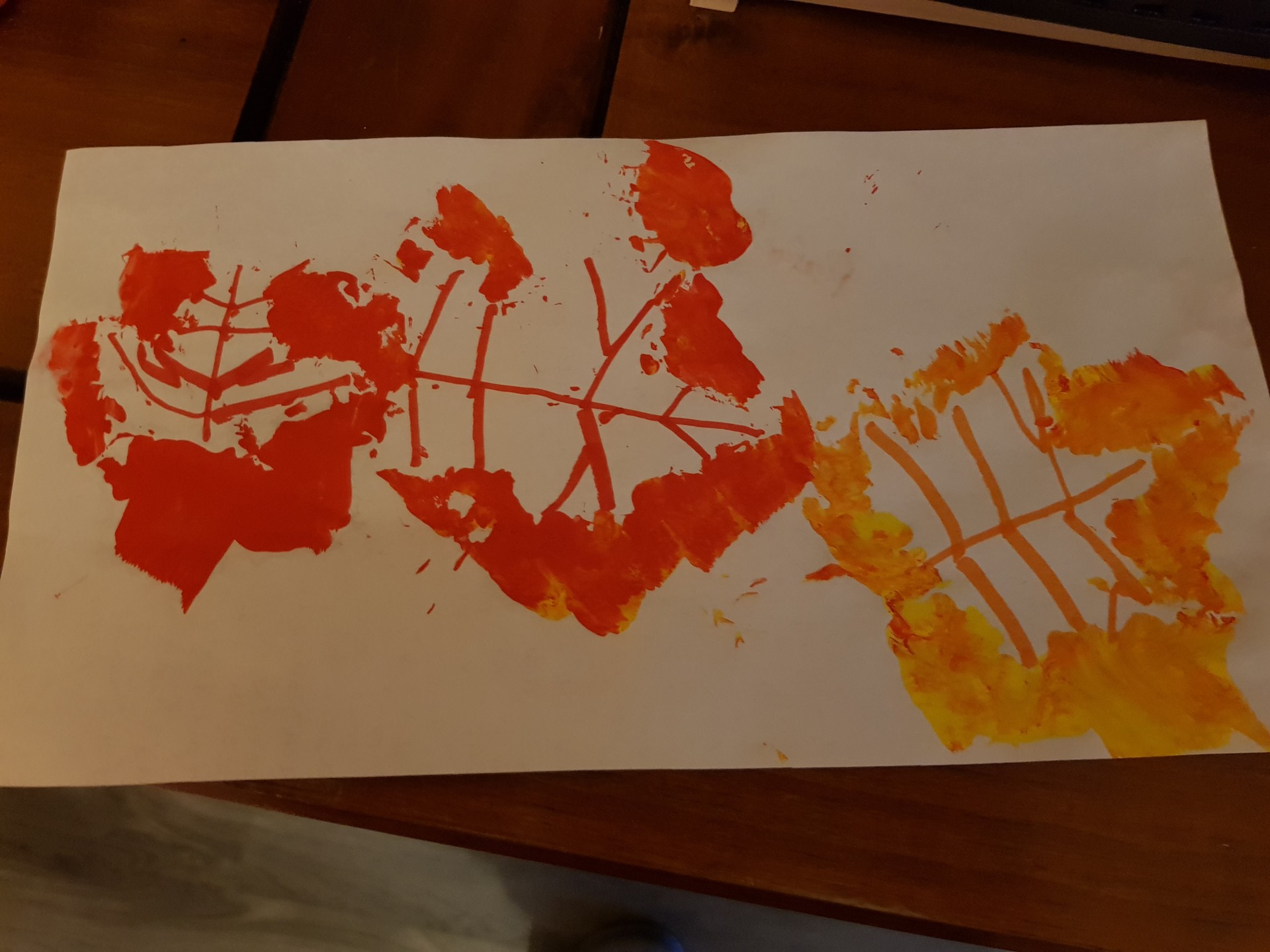 Contours de Feuilles