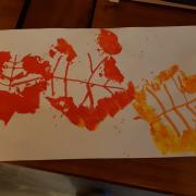 Contours de Feuilles