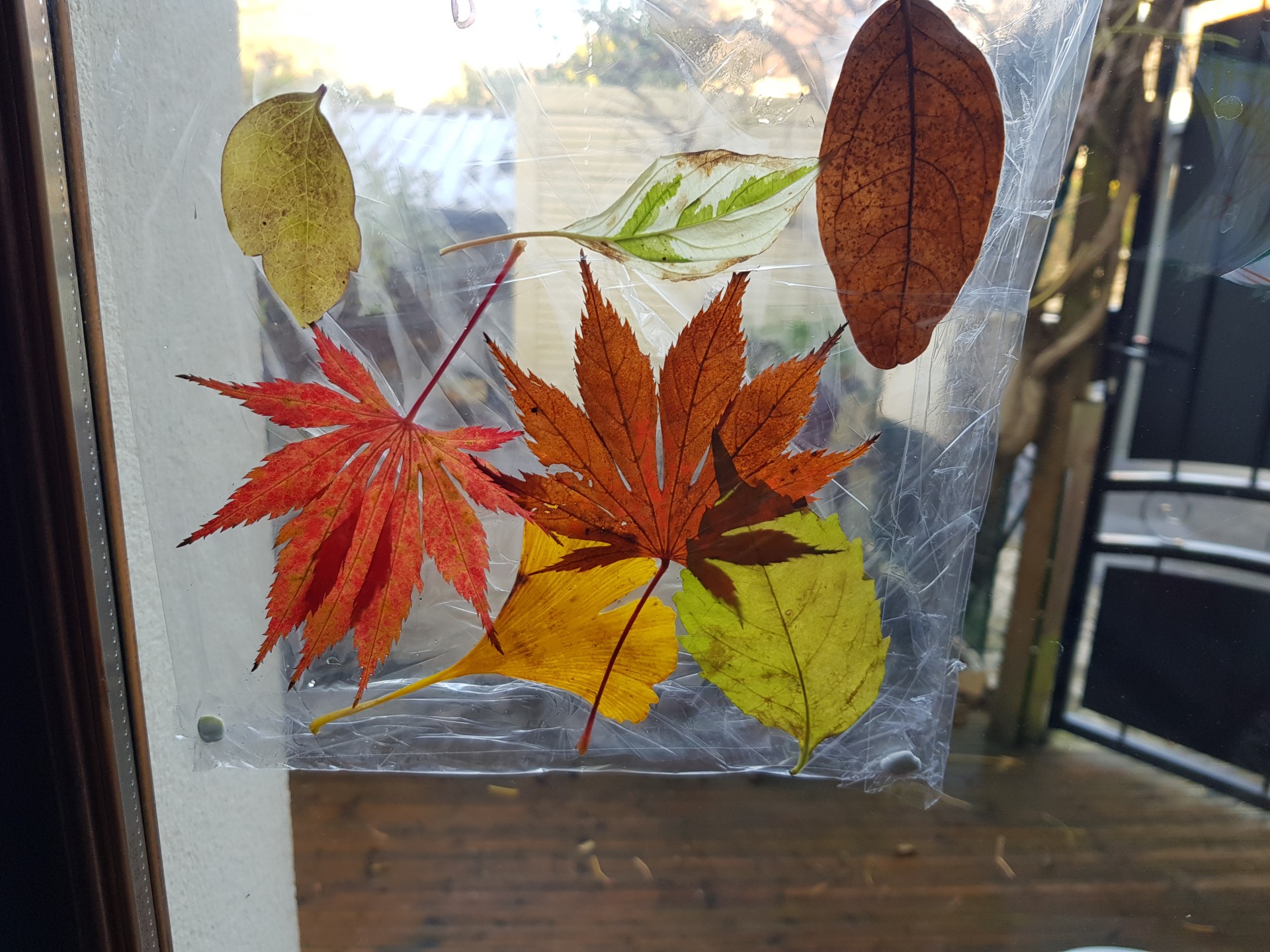 Vitrail de Feuilles d' Automne