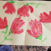 Les tulipes