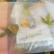 Regarder, froisser, déchirer les feuilles