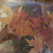 Pochette des feuilles pour jouer
