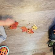 Jouer avec les feuilles 1
