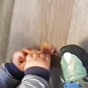 Jouer avec les feuilles 3