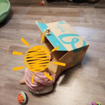 Les cartons